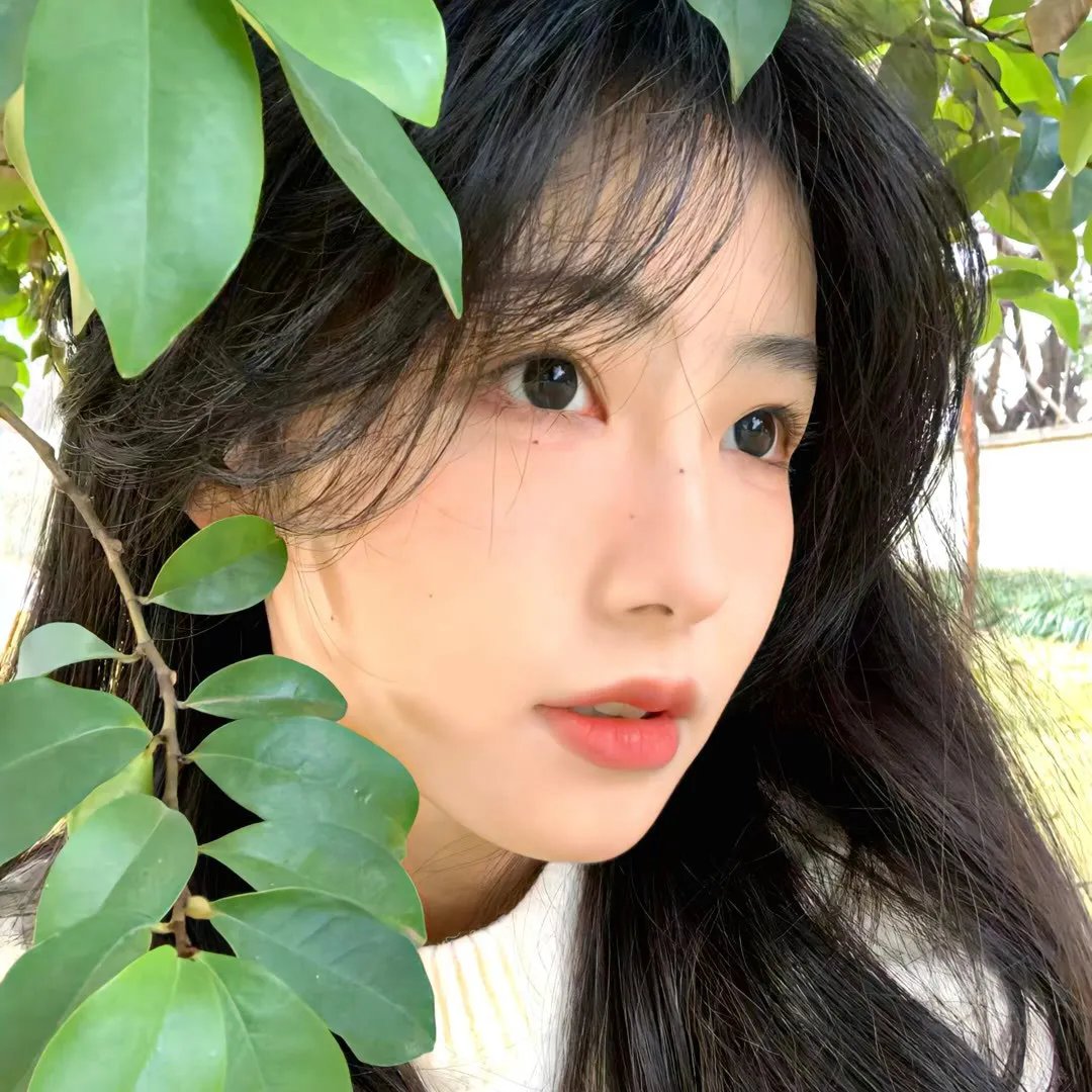 苹果酱